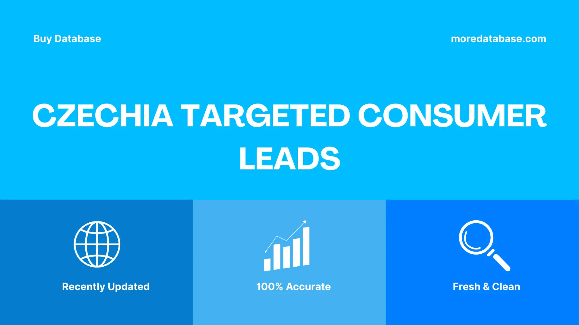 Czechia Targeted Consumer Leads